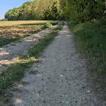 Les Marguerites Bornel