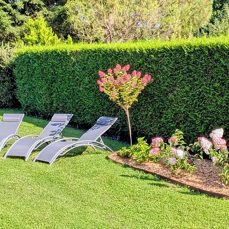 Les Marguerites Bornel