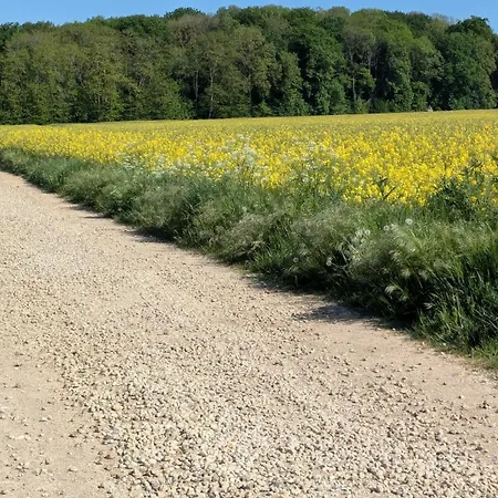 Les Marguerites * Bornel