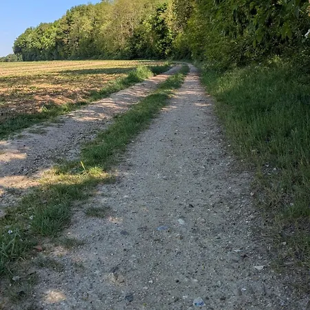 Les Marguerites Bornel