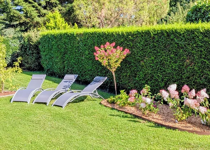 Les Marguerites Bornel